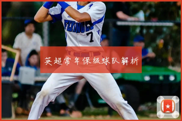 英超常年保级球队解析