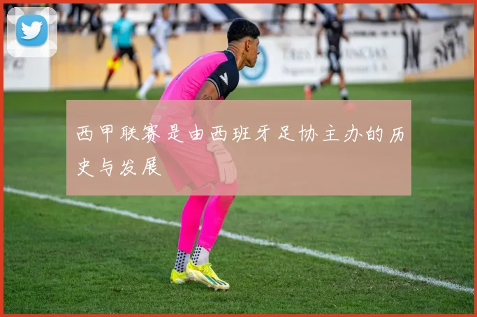 西甲联赛是由西班牙足协主办的历史与发展